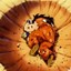 yamcha