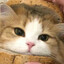 HAI