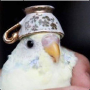 BattleBirb