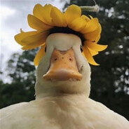 我超!又嘎辣!大佬救我