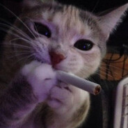 MurKis