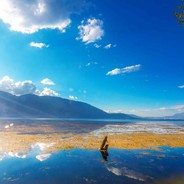 我没医保我先跑