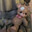 maci Steam avatar