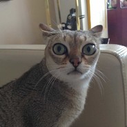 I'm here, but I'm dead