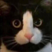 双层牛肉芝士汉堡