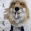 Smoking Fox