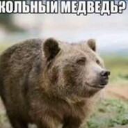 прикольный медве