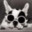 Bouli