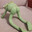 Kermit_is_thicc