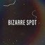 BizarreSpot