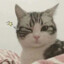 ✪Flapjackkk✪