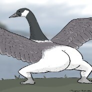 Goose [⇄] 24/7