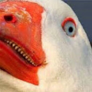 ParagonGoose