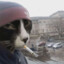 Гарик