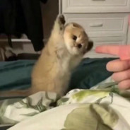 Watermelon need love