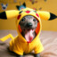 PERRITO PIKACHU