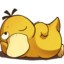 Psyduck