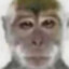 J O Y