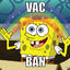 VacBanned