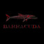 BARRACUDA