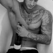 一只大鸟闯天下