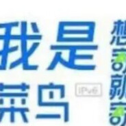 眉头一皱退到队友身后