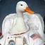 TheDuckInSpace
