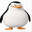 penguins
