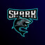 shark_80