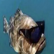 Mr. Puffer