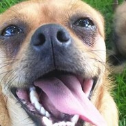 这位少侠好武功