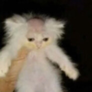 163's Steam avatar