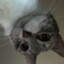 putz @bandit