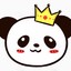 BOSS丶熊猫（xiongmao）
