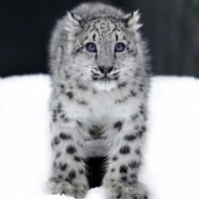 理塘大帝国の第一突破