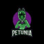 petunia008