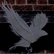 SKINUP.GG|MandalorTM