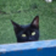 Catlovers666