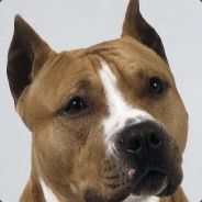 *]S.T.A.R.S[* Th3_K!ll3r*