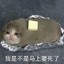 donuttoday