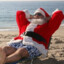 Santa On Vacation