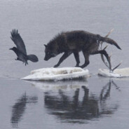 twodeadswansfilledwithflowers