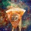 Spacial Cat