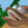 Medium Sized Cryptid