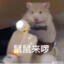 葵崽
