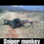 Sniper monkey 2.0
