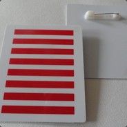 少先队八道杠总队长