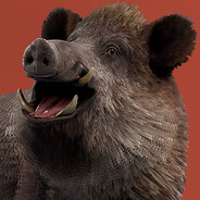boar