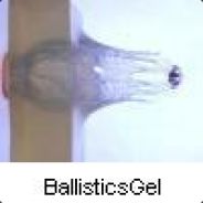 BallisticsGel - steam id 76561197970924990
