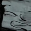 darius's avatar